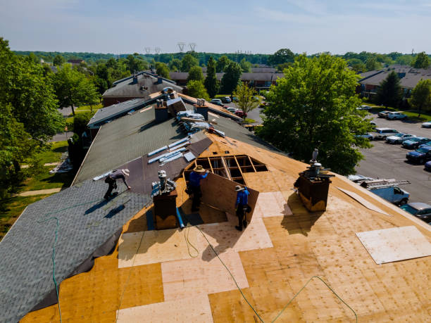 Best Roof Waterproofing Services  in Decatur, MI
